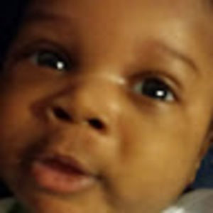 Meet your Posher, Sylvester